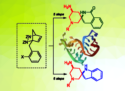 Binding RNA Drug Targets Using Spirocycles