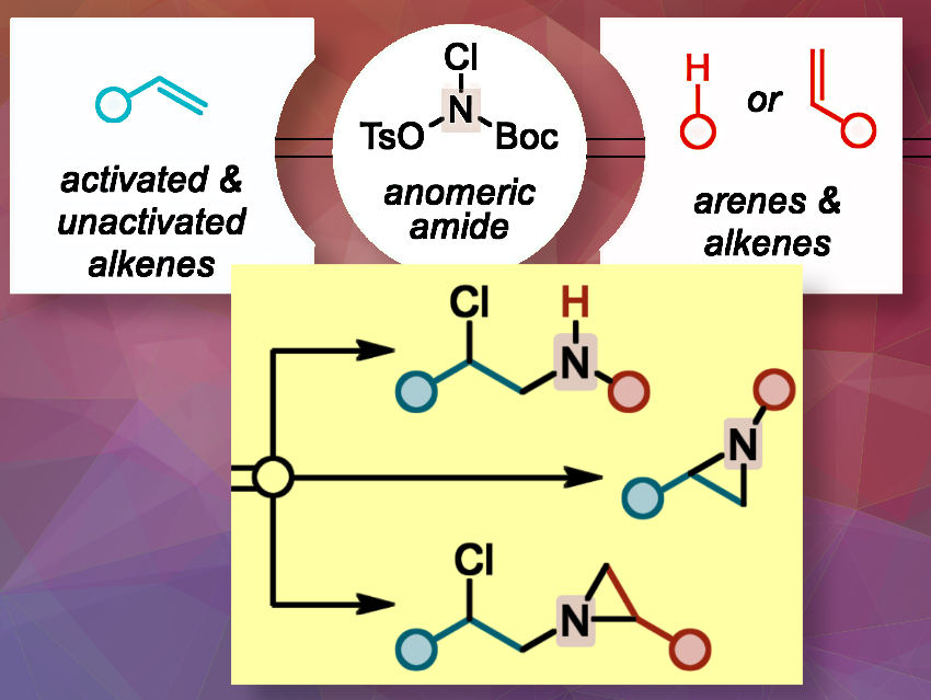 One-Pot Aminative Coupling of Alkenes and Arenes