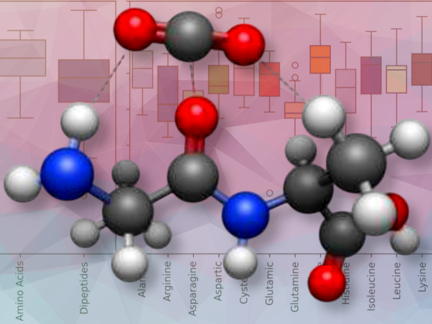 Bioinspired CO2 Capture: Exploring Dipeptides for Efficient Carbon Sequestration