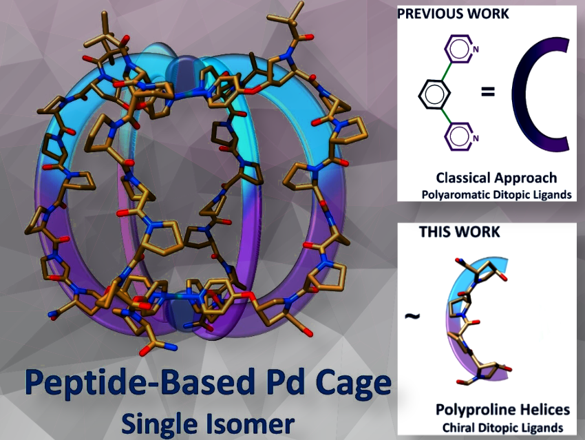 Chiral Pd Lantern Cage Synthesized with Peptide