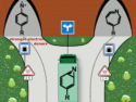 Tuning Quantum Mechanical Tunneling Reactivity with Electron-Donating Substituents