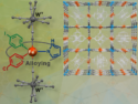 From Inspiration to Discovery: Small Ligand Alloying for Multifunctional Magnetic Materials