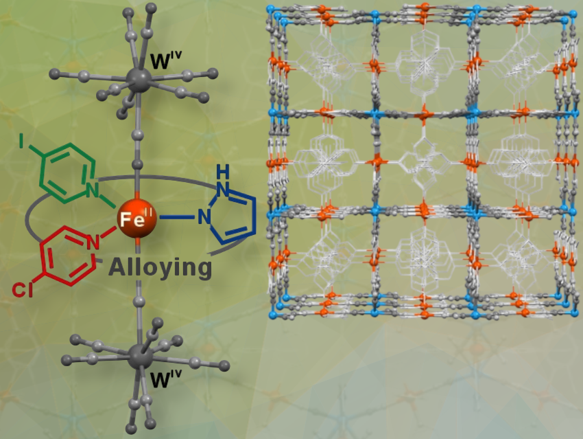 From Inspiration to Discovery: Small Ligand Alloying for Multifunctional Magnetic Materials