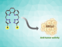 Triazole-Functionalized Phenanthroline Derivatives Show Anti-Tumor Activity