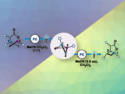 Solvents Change Outcome of Bicyclo[1.1.0]butane Cyclizations