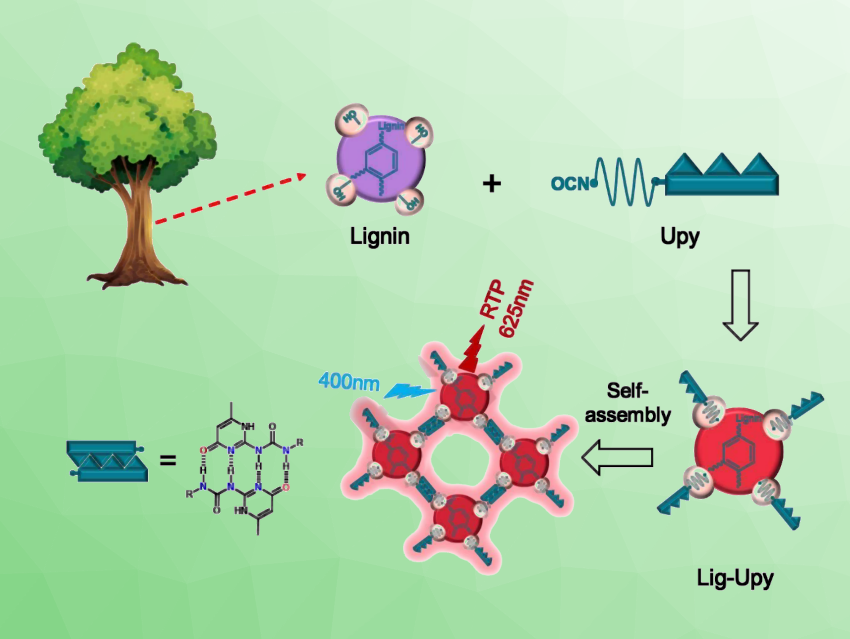 Red Room-Temperature Phosphorescence from a Sustainable Source