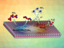 Electrocatalyst for Nitrate Reduction to Ammonia