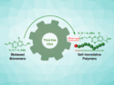 Degradable Polymer Made from Renewable Resources via a Thiol-Ene Reaction