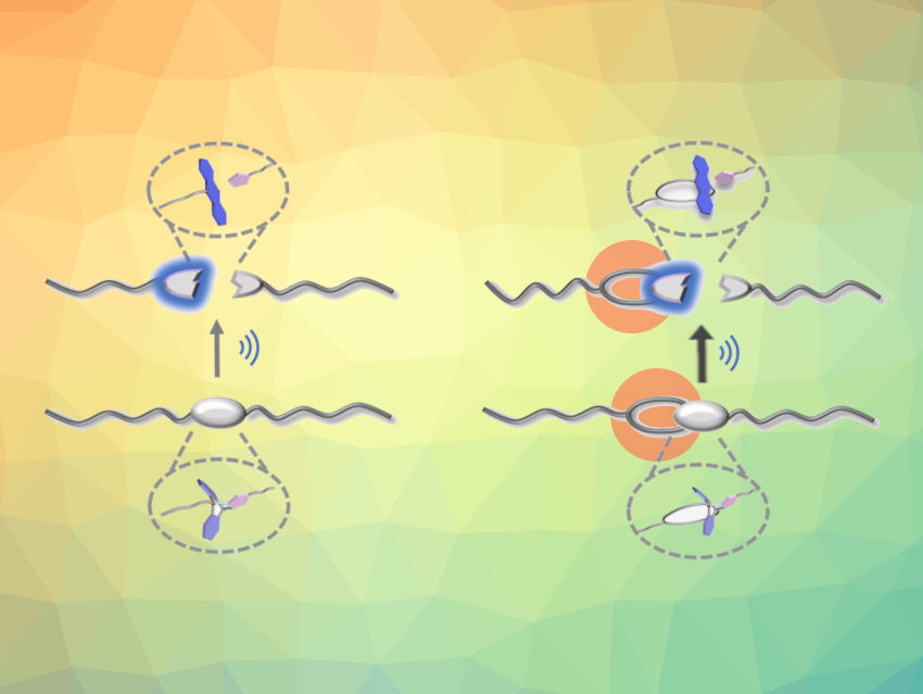 Modulating the Reactivity of Force-Sensitive Molecules