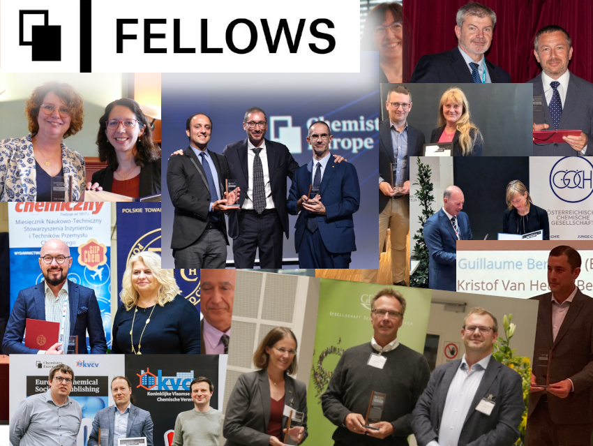 Who Are the Chemistry Europe Fellows Class of 2022/23?