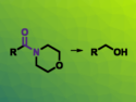 Site-Selective Hydrogenation of Amides