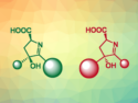 Engineering a Decarboxylative Aldolase for the Synthesis of Cyclic Imino Acids