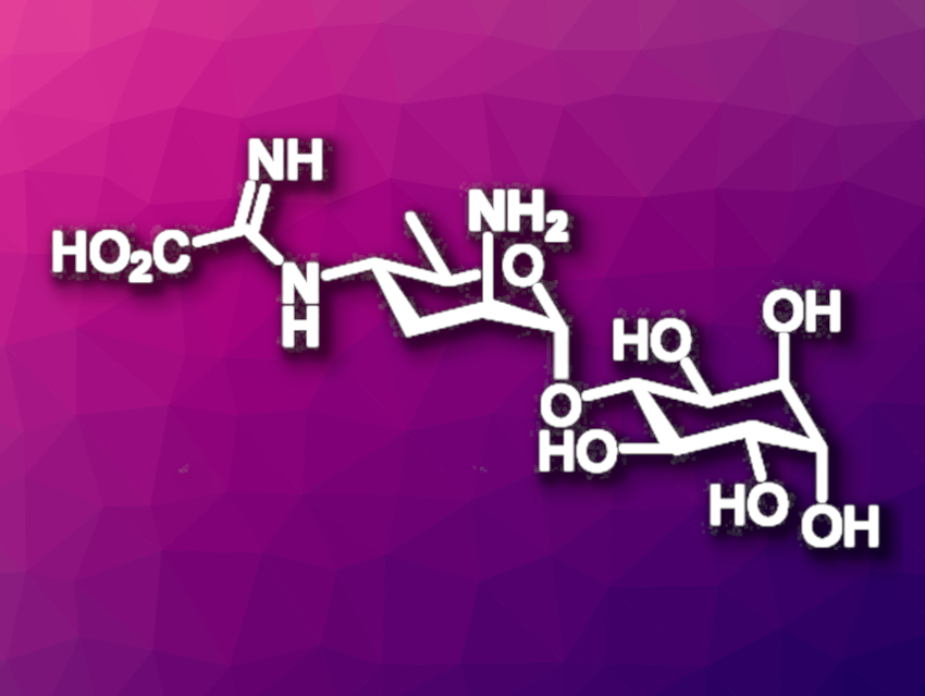 Total Synthesis of Kasugamycin