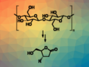 One-Pot Baeyer-Villiger Oxidation of Biomass-Derived Levoglucosenones