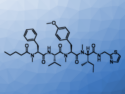 Total Synthesis of Ukabamide, a Drug Candidate against Sleeping Sickness