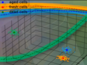 Enhanced Battery Modeling: Improving Charge and Lifetime Predictions