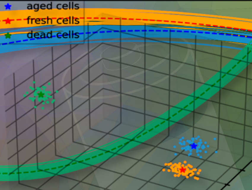 Enhanced Battery Modeling: Improving Charge and Lifetime Predictions