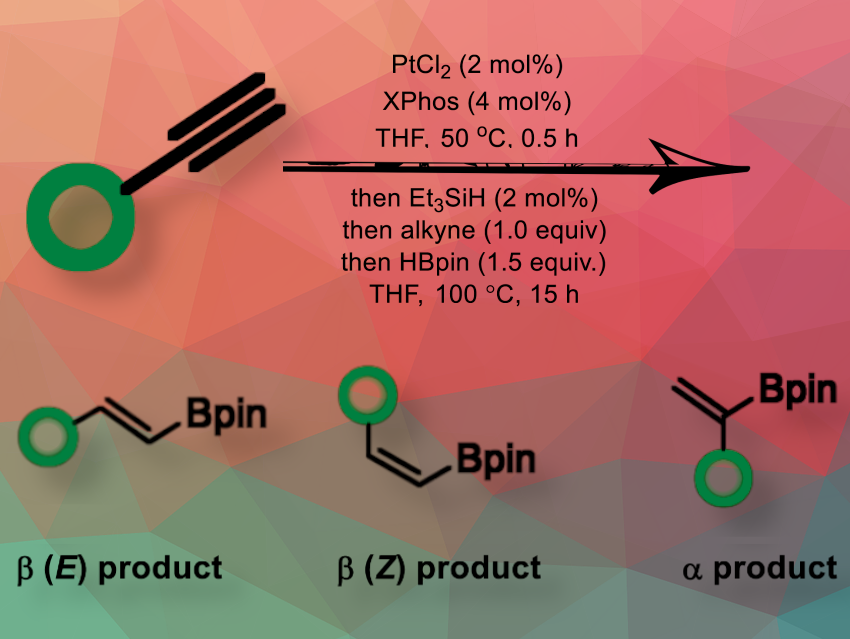 Pt-Catalyzed Hydroboration of Terminal Alkynes: A Regioselective Approach to Vinyl Boronates