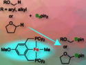 Selective C(sp³)-H Borylation of Methoxy Groups via Iron Complexes