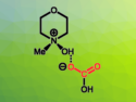 Amine N-Oxides Used for Carbon Capture