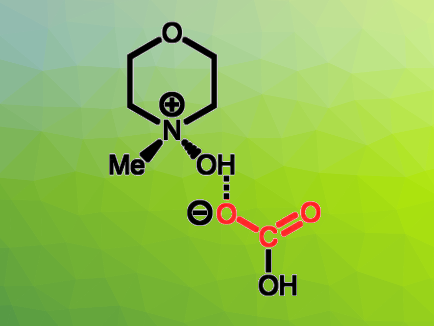 Amine N-Oxides Used for Carbon Capture