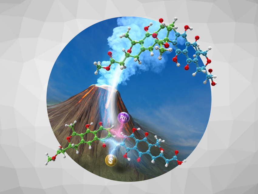 Angewandte Chemie 6/2025: High Throughput