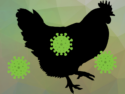 Biosensor for Rapid Detection of Avian (H5N1) Influenza in Aerosols