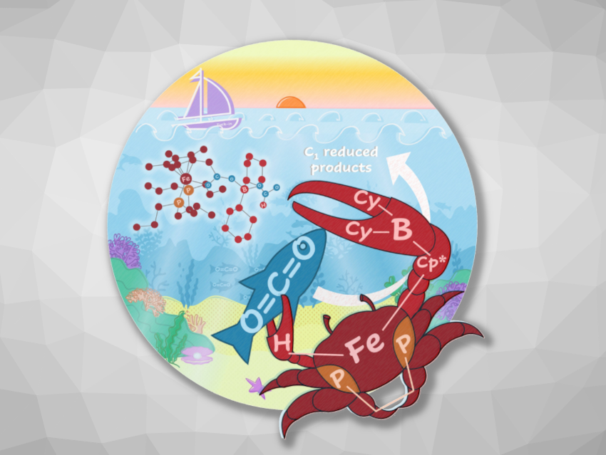 Angewandte Chemie 9/2025: Superior Chemistry